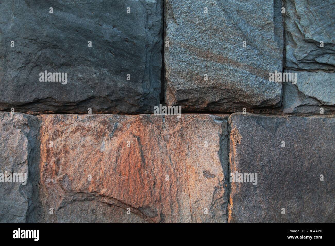 Herbstblätter, Steinstruktur, Rosmarin, weiße Rosen, Heidekraut, immergrüne Blätter, Ahornblätter. Eine Serie von Herbstbildern aus dem Garten, um Schönheit auszudrücken. Stockfoto