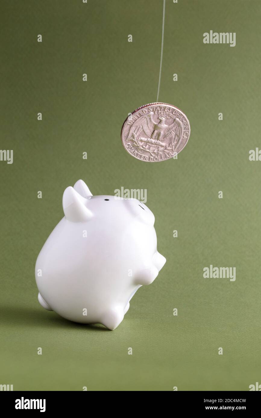 Sparschwein bettelt um Münzen Stockfoto