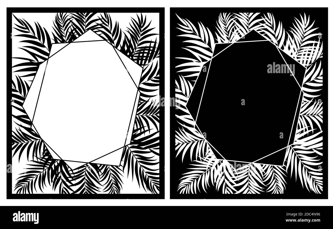 Beautifil Palm Tree Leaf Tropical Silhouette Hintergrund Illustration Stockfoto