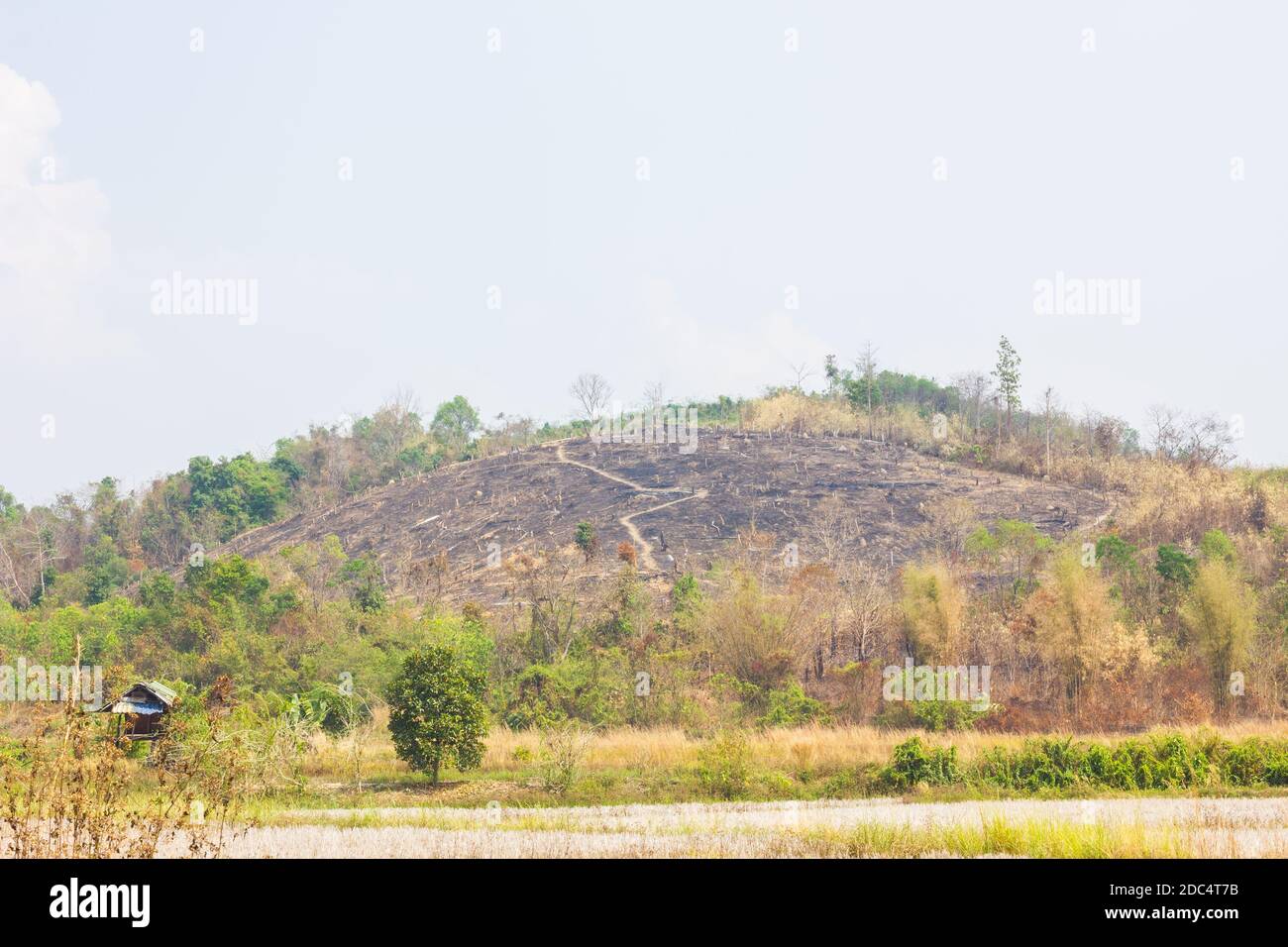 Hügel ohne Bäume wegen Feuer mit Spurlinie Stockfoto