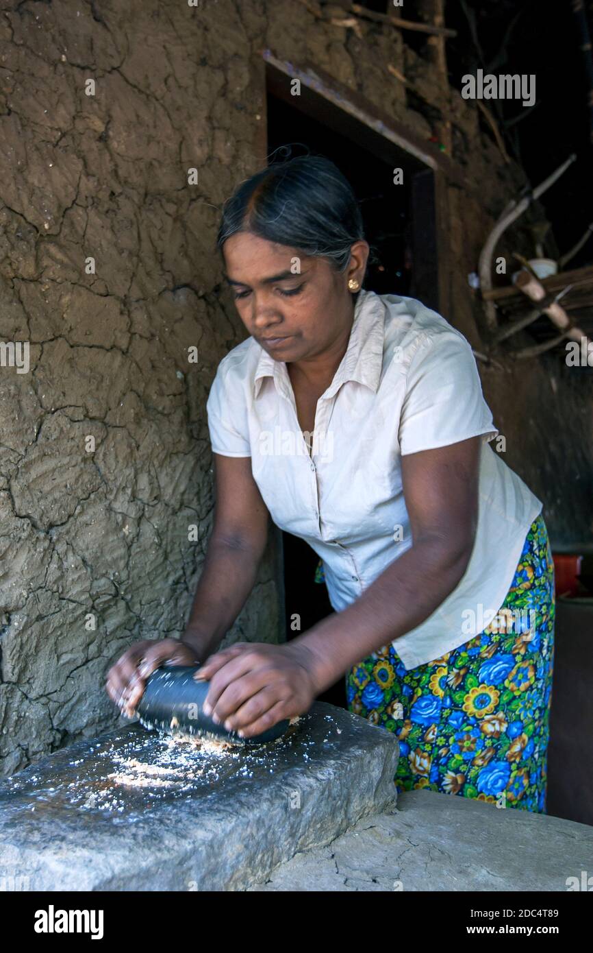 Eine Dame mahlt Getreide in ihrem Haus in Sigiriya in Sri Lanka. Sie verwendet einen abgerundeten Stein, eine traditionelle Methode, die seit Hunderten von Jahren verwendet wird Stockfoto