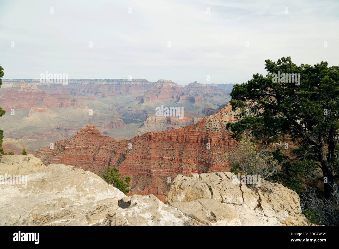 Grand Canyon Stockfoto