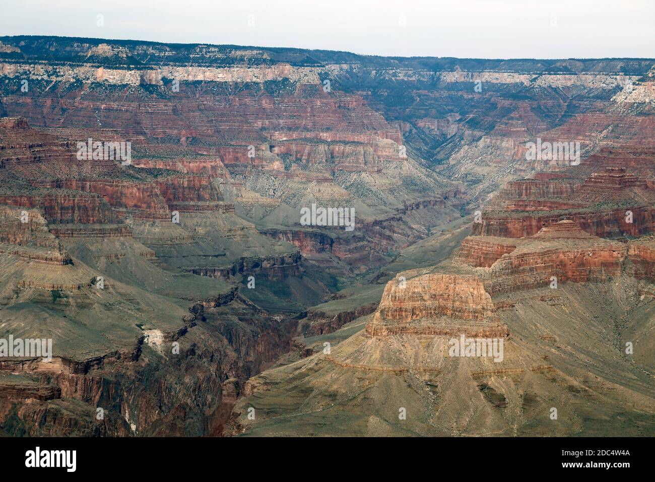 Grand Canyon Stockfoto
