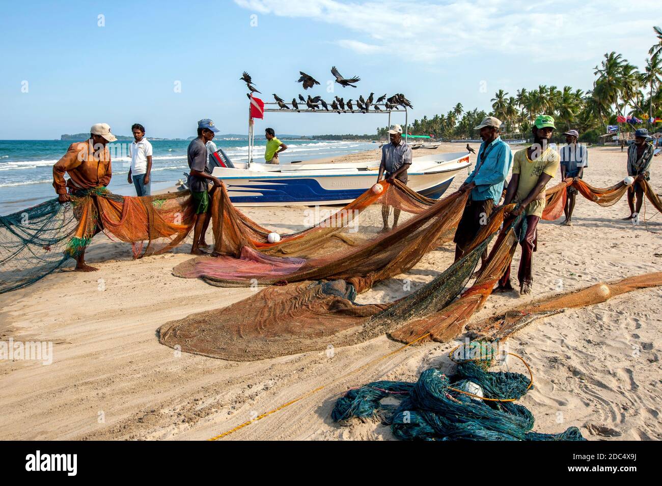 Seine-Fischer ziehen ihre Fischernetze am späten Nachmittag vom Indischen Ozean an den Strand von Uppuveli in Sri Lanka. Stockfoto