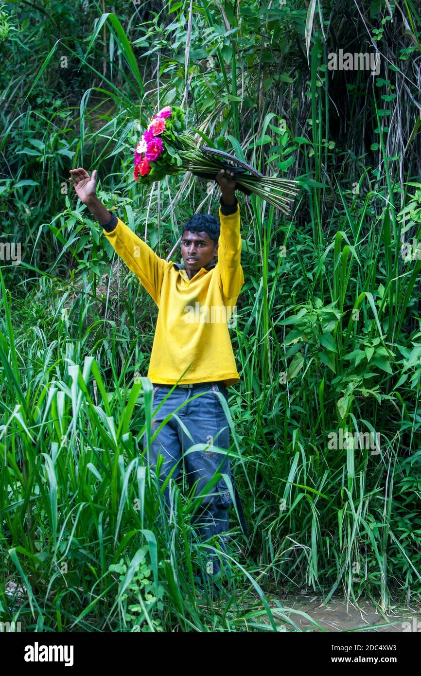 Ein Sri Lanka Mann verkauft Blumen auf der Straße Wellen an Touristen in der Nähe von Nuwara Eliya im zentralen Hochland von Sri Lanka. Stockfoto