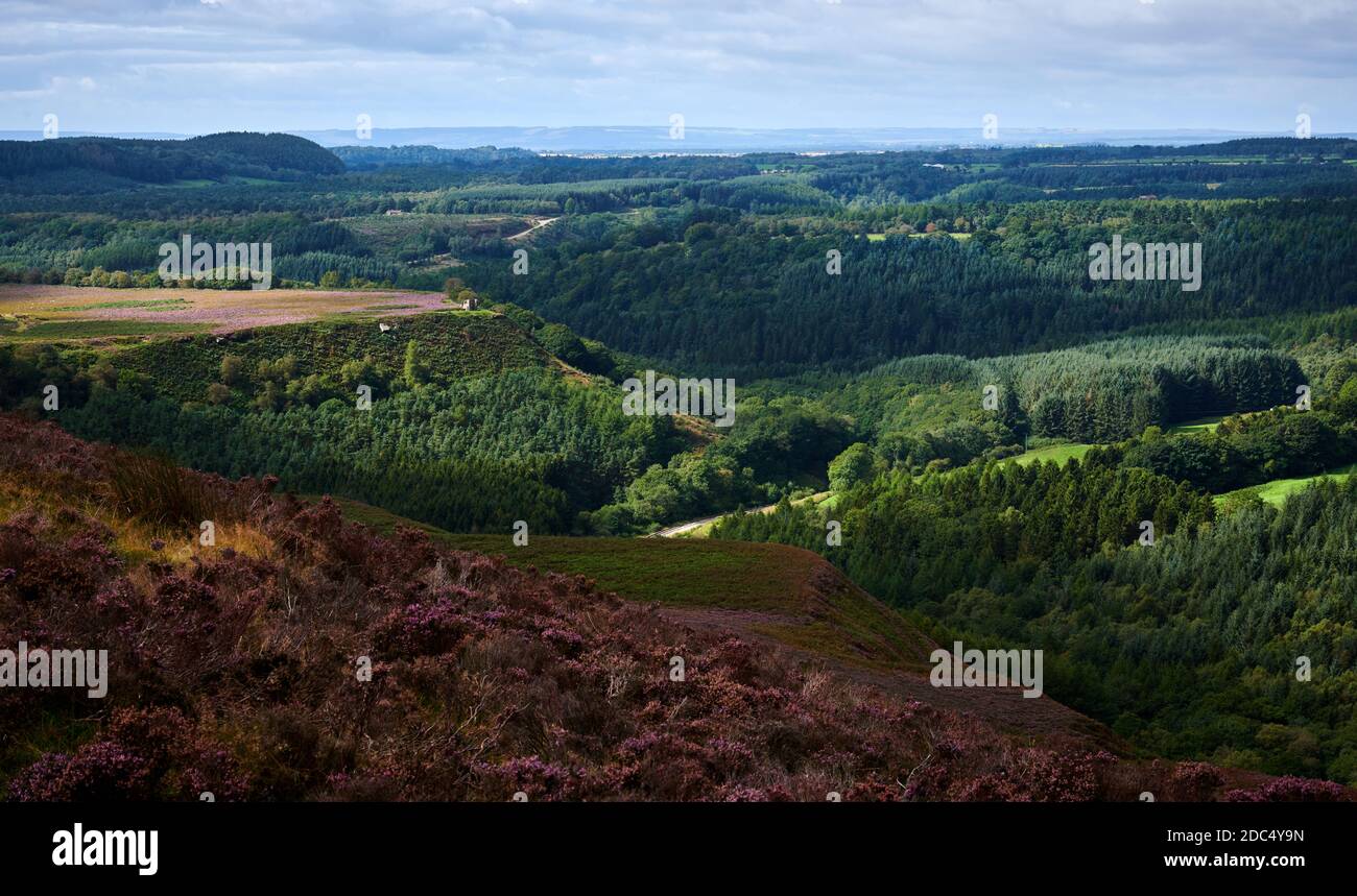 Blick über die North Yorkshire Railway in einem bewölkten Herbst Tag Stockfoto