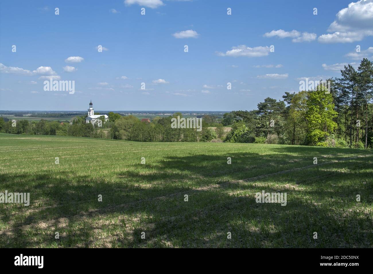 Polska, Polen, Polen, Europa, Großpolen, Großpolen, Brzóstków; EINE weitläufige Frühlingslandschaft mit einer weißen Kirche, die zwischen Feldern und Bäumen steht. Stockfoto