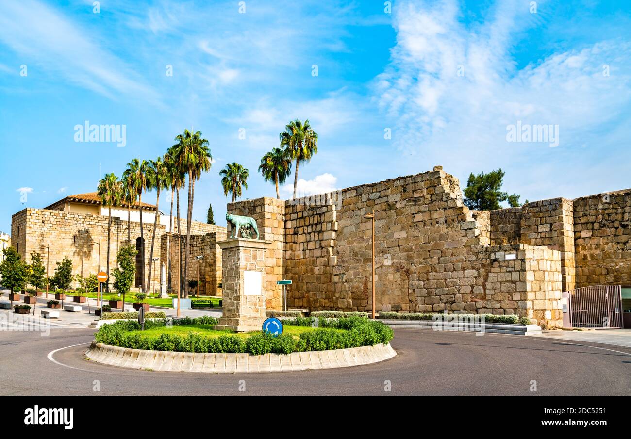 Statue des Kapitolinischen Wolfes in Merida, Spanien Stockfoto