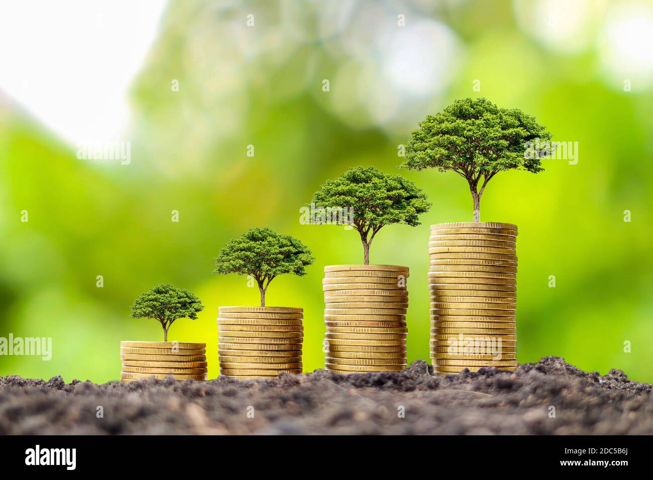 Münzstapel mit wachsenden Baum auf der Oberseite der Münze, finanzielle Geschäftserfolgsidee und Geldwachstum. Stockfoto