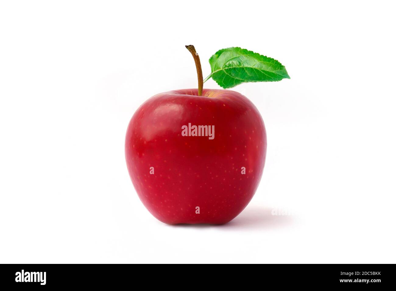 Rote Apfelfrüchte und Blätter isoliert auf weißem Hintergrund. Stockfoto