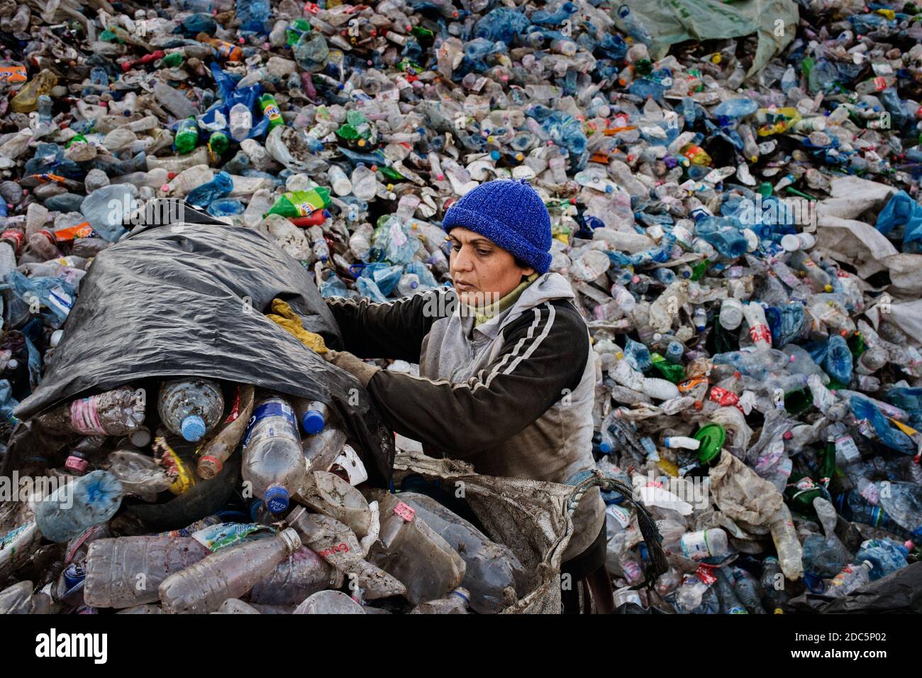 Eine Romi-Arbeiterin wählt Flaschen und andere Plastikbehälter aus, die in den Straßen von Tirana, Albanien, im Shann Müllcontainer gesammelt wurden. Stockfoto