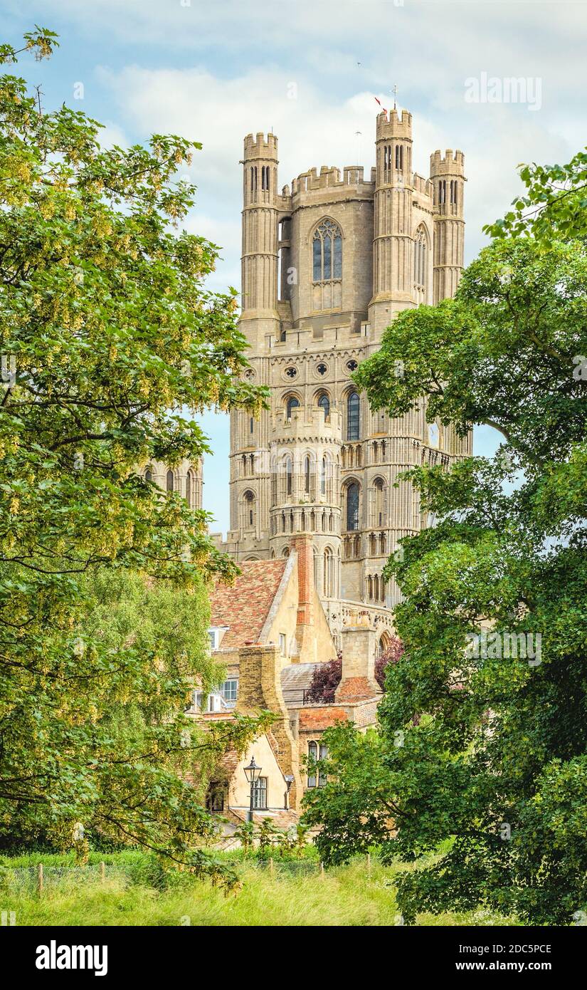Kathedrale Kirche der Heiligen und ungeteilten Dreifaltigkeit in Ely, Cambridgeshire, England Stockfoto
