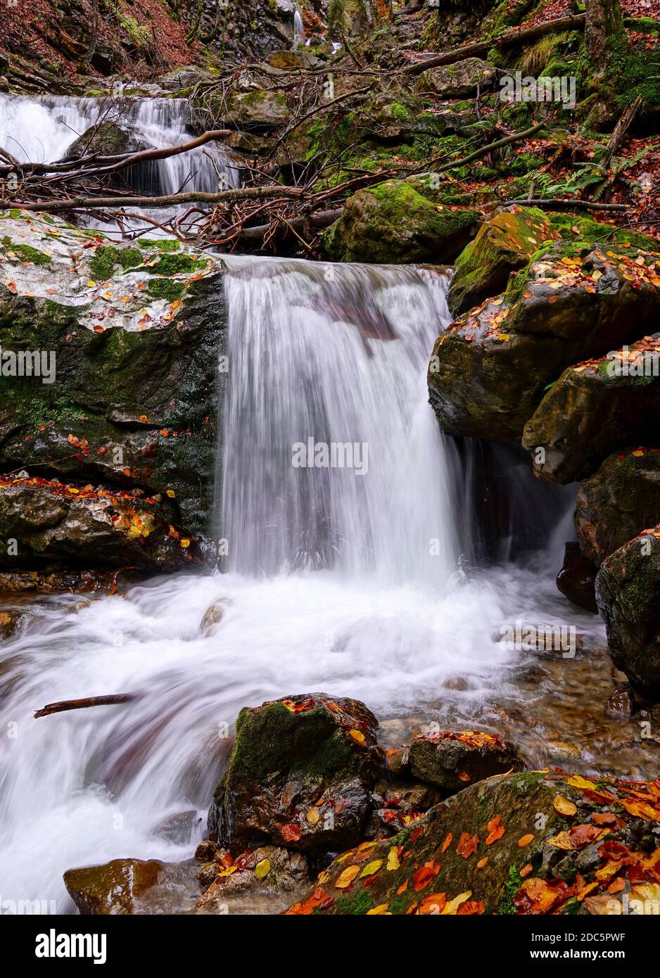 Eine vertikale Aufnahme eines kleinen Wasserfalls in einer Schlucht Im Herbst in den allgäuer alpen Stockfoto