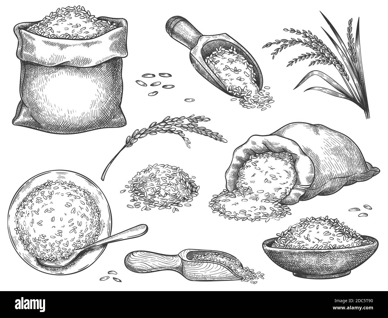 Von Hand gezogenes Reismehl. Retro-Gravur Getreidespikelets von Weizen, Roggen, Gerste, Basmati oder Jasmin Reis. Körner in Sack und Schaufel Vektor-Set Stock Vektor