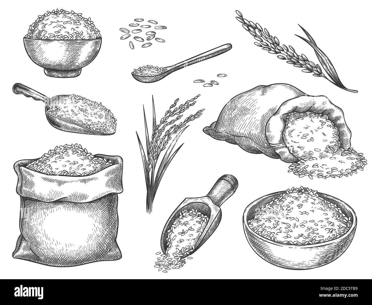 Skizzieren Sie Reiskörner. Vintage Samen Haufen und Bauernhof Ohren. Ganze Basmati-Körnung in Beutel, Schaufel und Löffel. Schüssel mit Reisbrei. Handgezeichneter Vektorsatz Stock Vektor