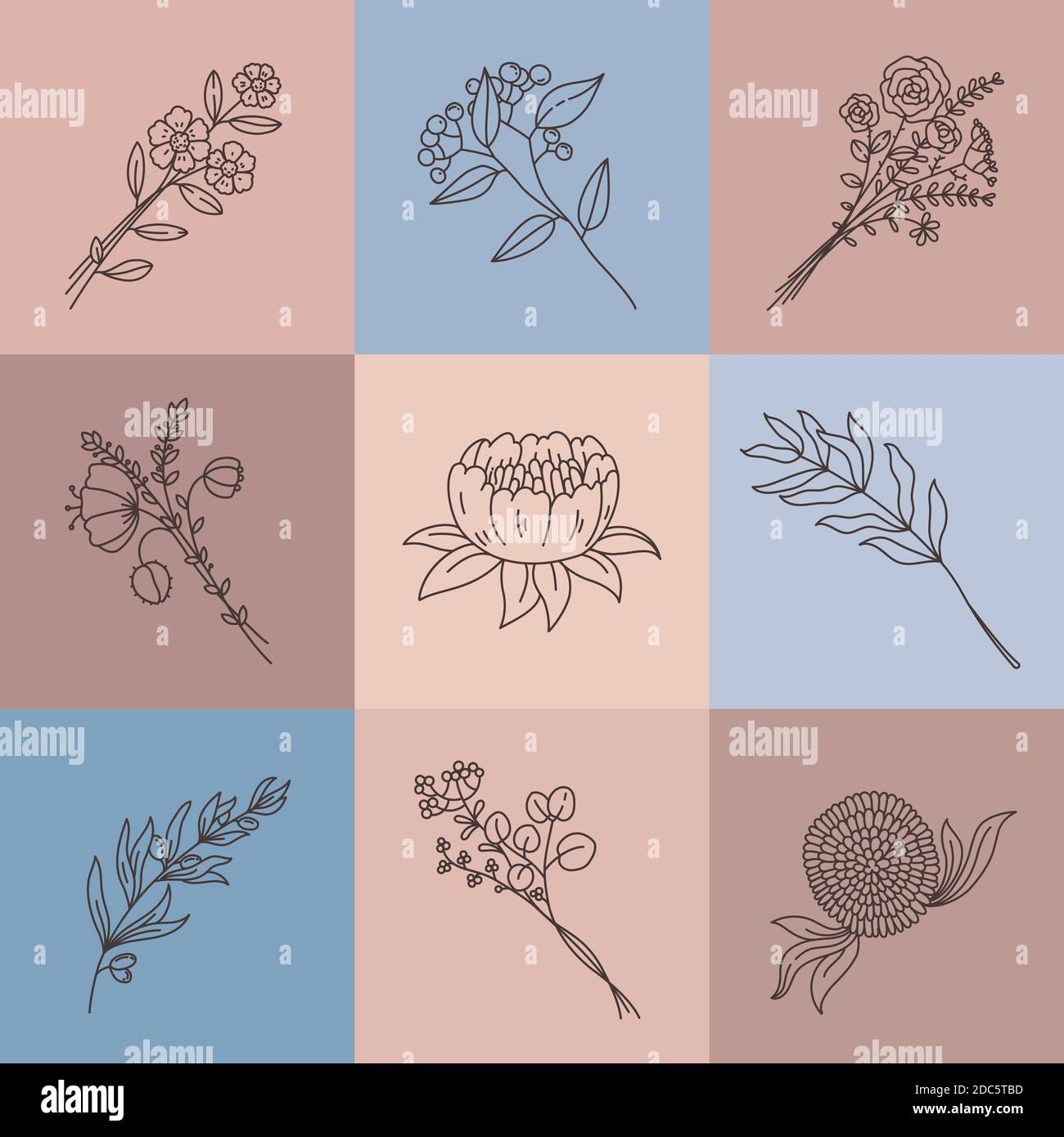 Minimalistische Linie Blumen. Einfaches Poster mit abstraktem Wiesenstrauß. Elegante Umrandung Blume, Olivenzweig, Kräuter und Lotus, Pflanzen Vektor-Set Stock Vektor