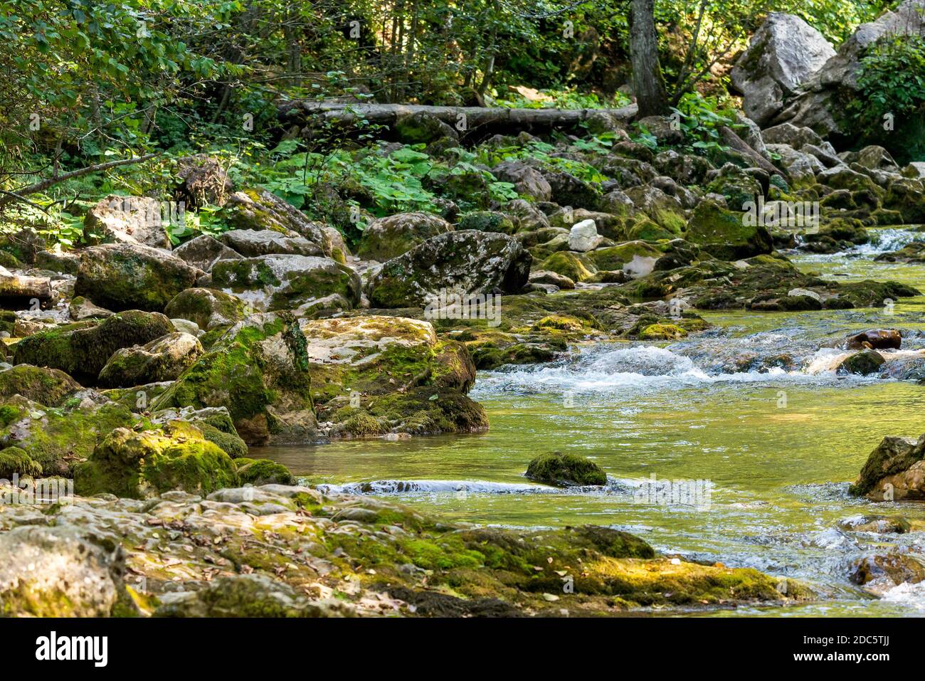 Gebirgsfluss im Wald. Wasser auf den Steinen. Stockfoto