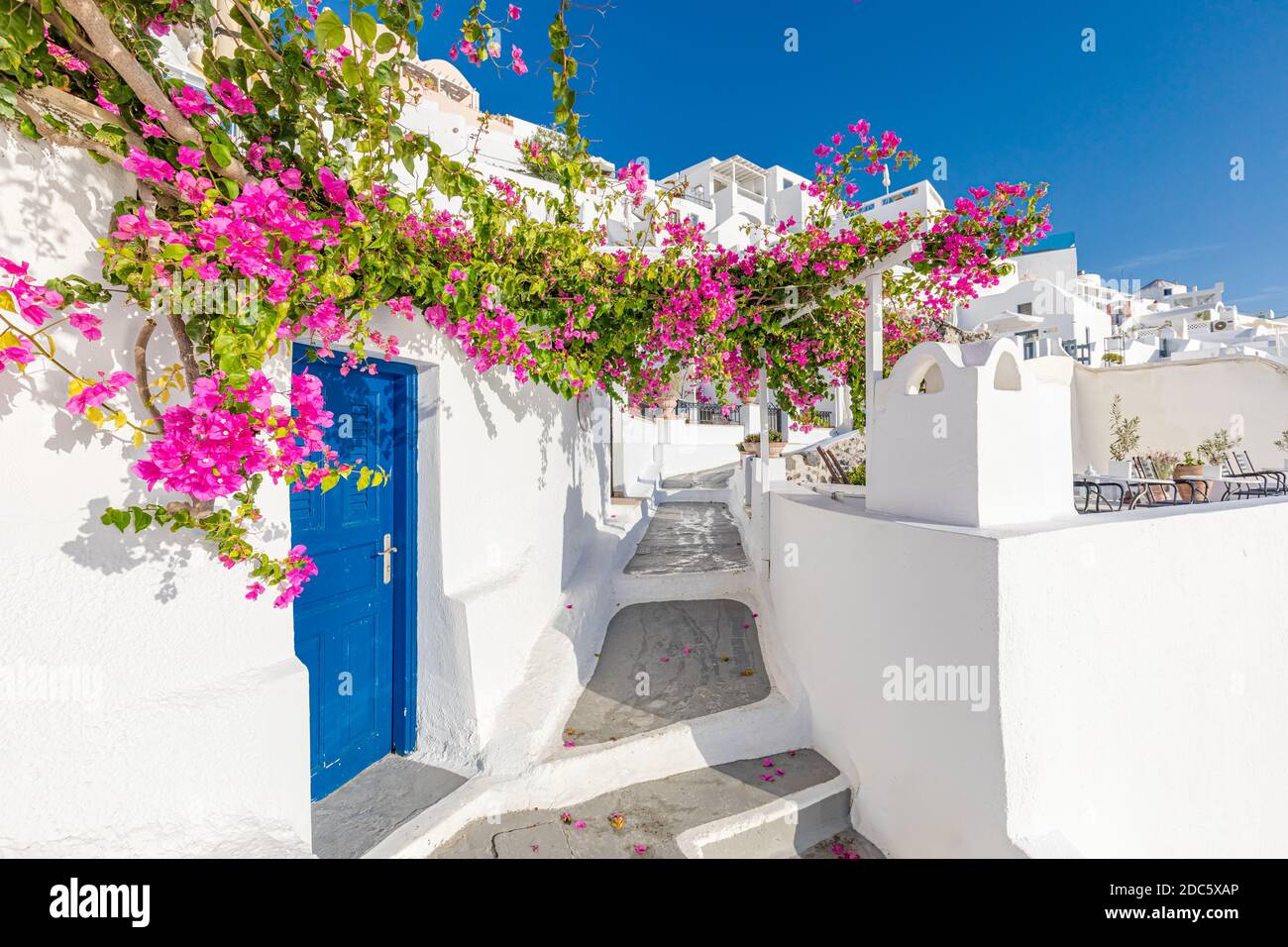 Alte blaue Tür und rosa Blumen, traditionelle griechische Architektur, Santorini Insel, Griechenland. Schöne Details der Insel Santorini, weiße Häuser, Stockfoto