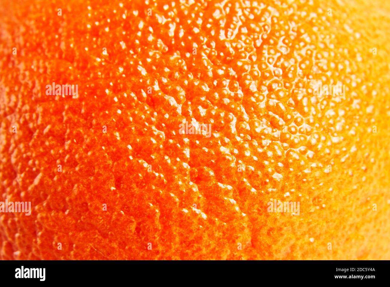 Mandarine, Mandarine, Mandarine orange Hautstruktur Nahaufnahme Details. Pickel Stockfoto