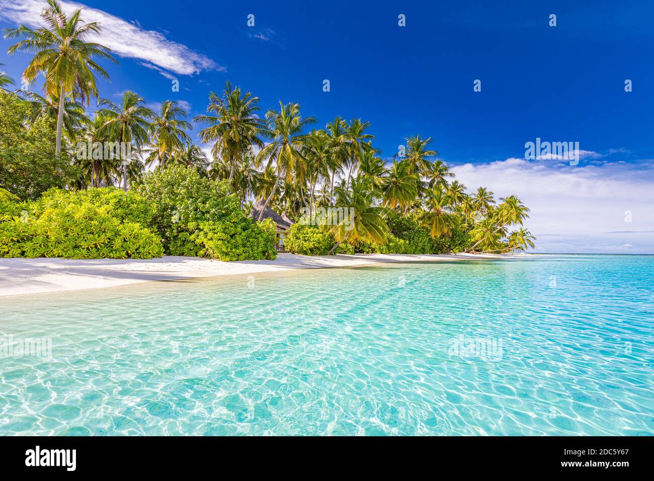 Ruhige Strandszene. Sonnige exotische tropische Strandlandschaft. Sommerurlaub Urlaubskonzept. Luxusreiseziel, idyllische Natur, Palmen, Meer Stockfoto