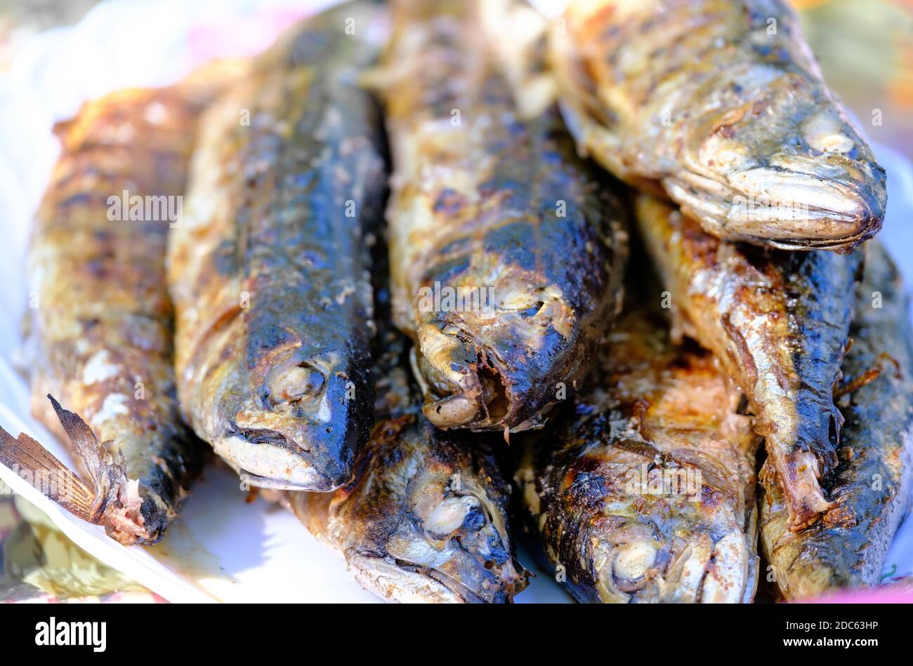 Gegrillter, würziger Makrelenfisch auf einem Gericht. Gerösteter Fisch. Gegrillter Fisch Stockfoto