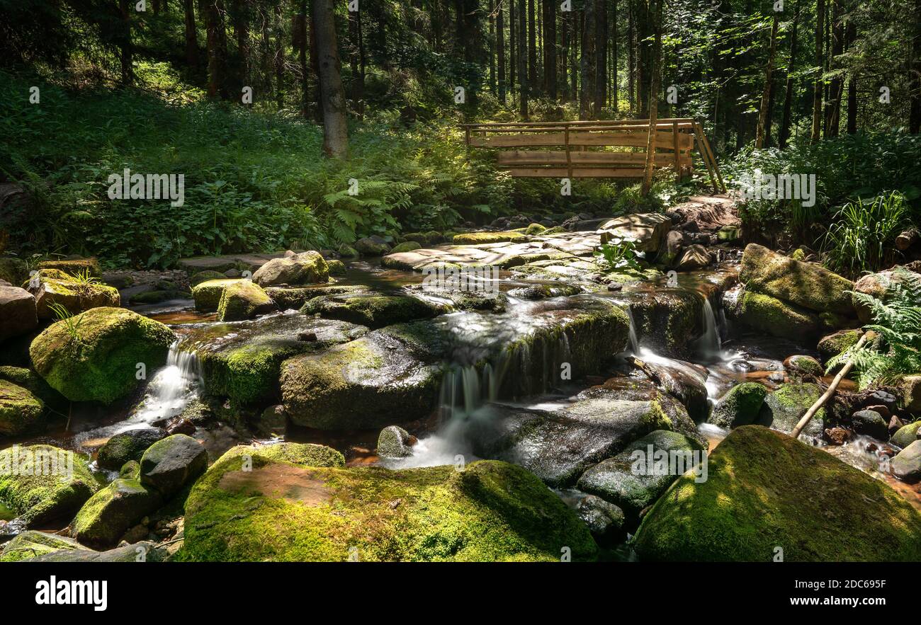Idyllischer Bach im Wald mit großen moosigen Steinen und Eine Holzbrücke Stockfoto