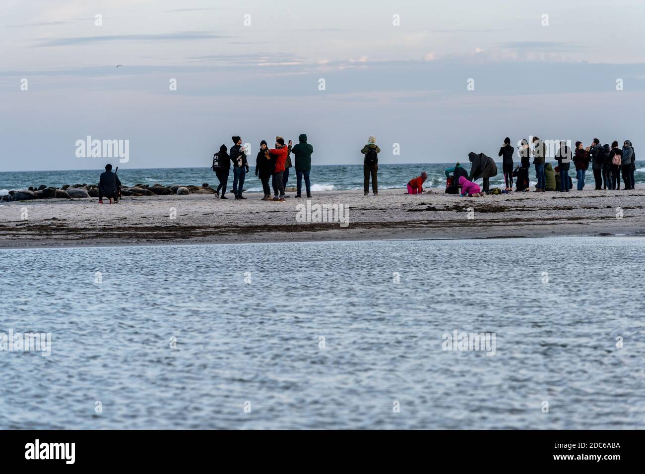 15. November 2020 - Falsterbo, Schweden: Die Menschen beobachten und fotografieren eine Seehundkolonie. Viele nutzen die Gelegenheit, die Natur zu erleben und dabei soziale Distanz während der Corona-Zeit zu bewahren Stockfoto