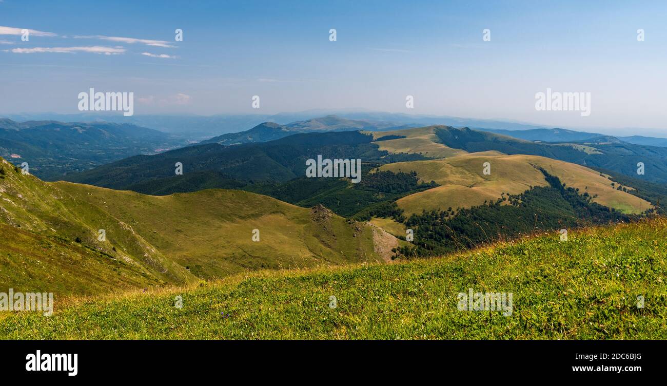 Schöne Landschaft von Bergen bedeckt von Wiesen und tiefen Wald Vom Oslea-Gipfel im Valcan-Gebirge in Rumänien Stockfoto