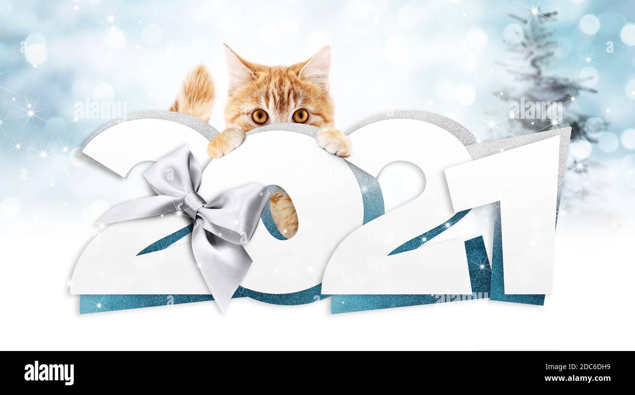 2021 Happy New Year Nummer Text mit lustigen Ingwer Katze Isoliert auf unscharfem Licht Hintergrund für glückliche Neujahr Gruß Geschenkgutschein Stockfoto