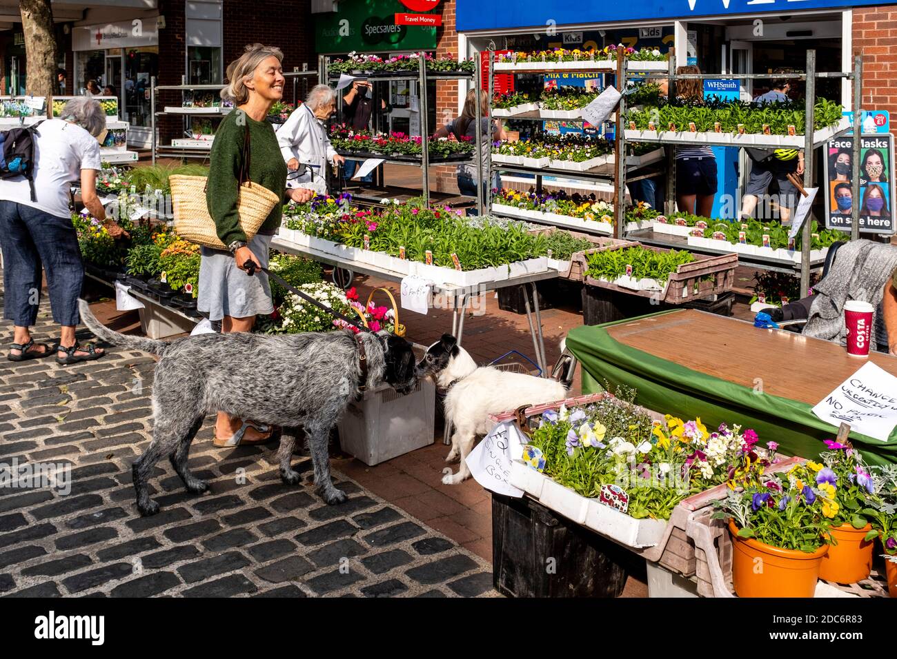 Menschen vor Ort, die Blumen von EINEM Marktstand kaufen, High Street, Lewes, East Sussex, Großbritannien. Stockfoto