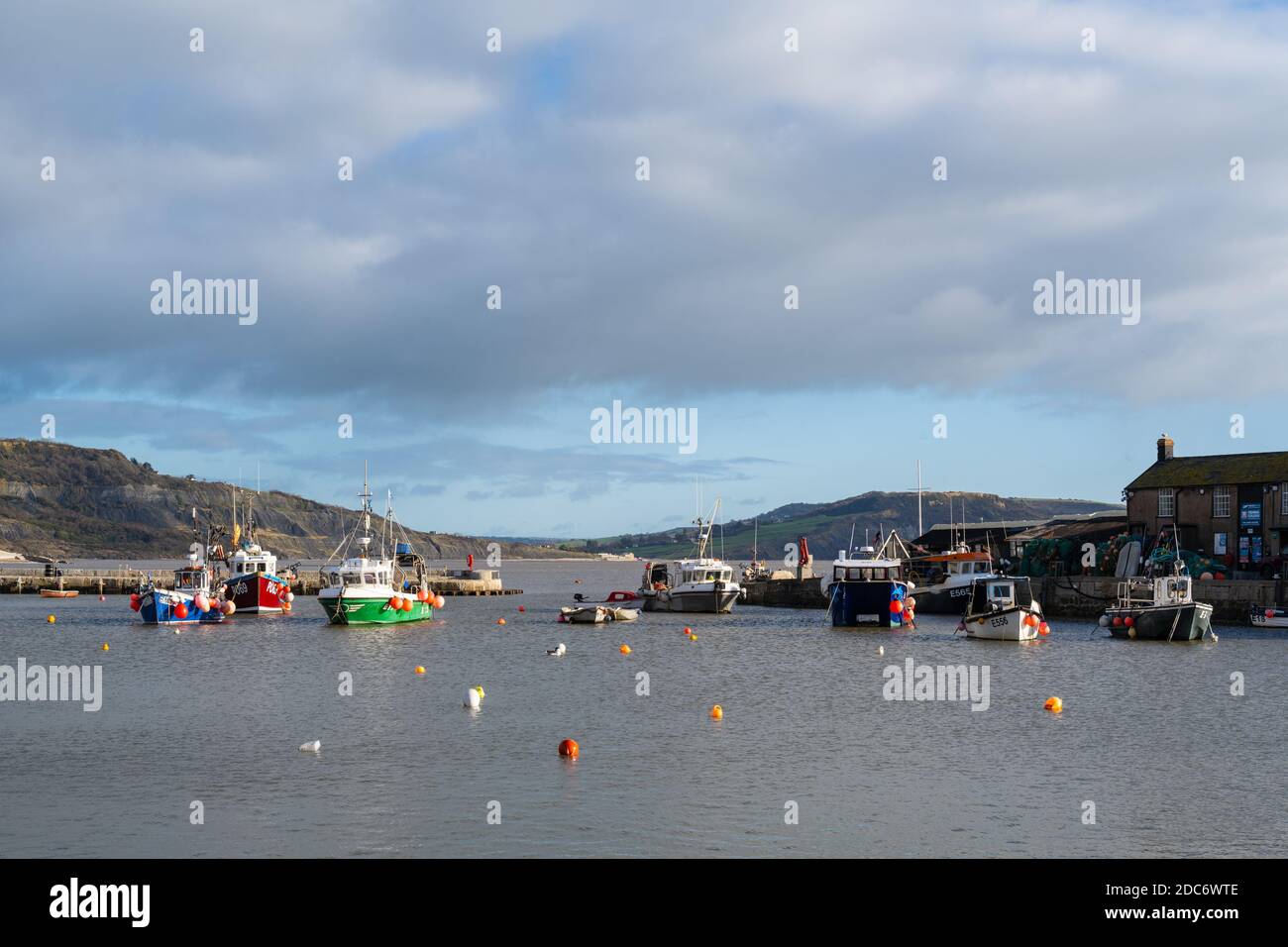 Lyme Regis, Dorset, UK.19. November 2020. UK Wetter: Boote im Cobb Hafen im Badeort Lyme Regis an einem Tag der hellen Sonnenzauber vertäut. Kredit: Celia McMahon/Alamy Live Nachrichten. Stockfoto