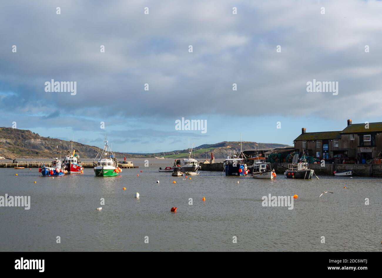 Lyme Regis, Dorset, UK.19. November 2020. UK Wetter: Boote im Cobb Hafen im Badeort Lyme Regis an einem Tag der hellen Sonnenzauber vertäut. Kredit: Celia McMahon/Alamy Live Nachrichten. Stockfoto