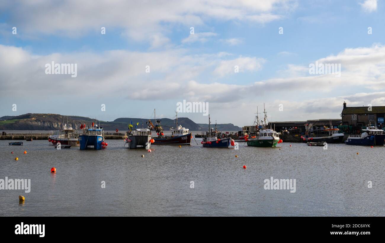 Lyme Regis, Dorset, Großbritannien. November 2020. UK Wetter: Boote im Cobb Hafen im Badeort Lyme Regis an einem Tag der hellen Sonnenzauber vertäut. Kredit: Celia McMahon/Alamy Live Nachrichten Stockfoto