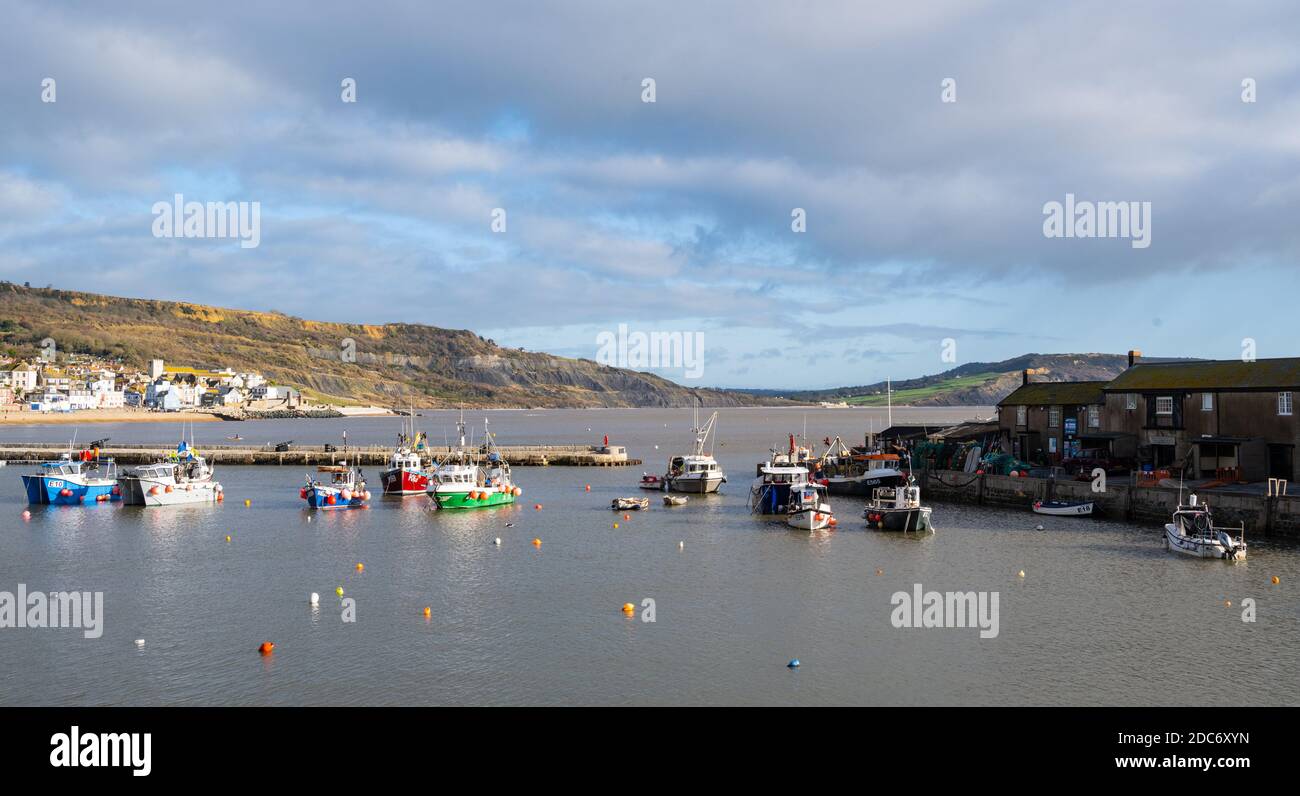 Lyme Regis, Dorset, Großbritannien. November 2020. UK Wetter: Boote im Cobb Hafen im Badeort Lyme Regis an einem Tag der hellen Sonnenzauber vertäut. Kredit: Celia McMahon/Alamy Live Nachrichten Stockfoto