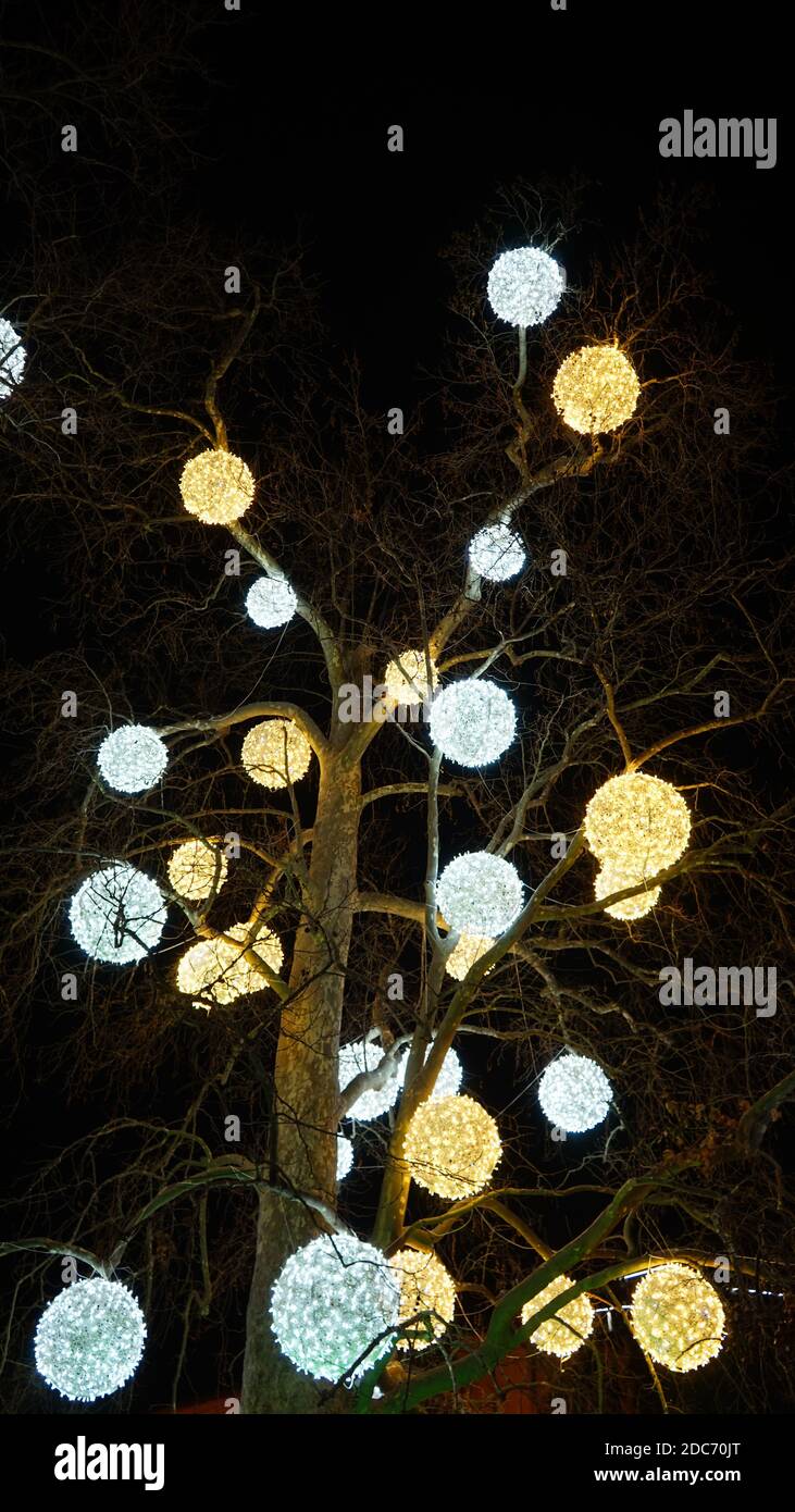 Neon, glühende Kugeln auf einem Baum Stockfoto