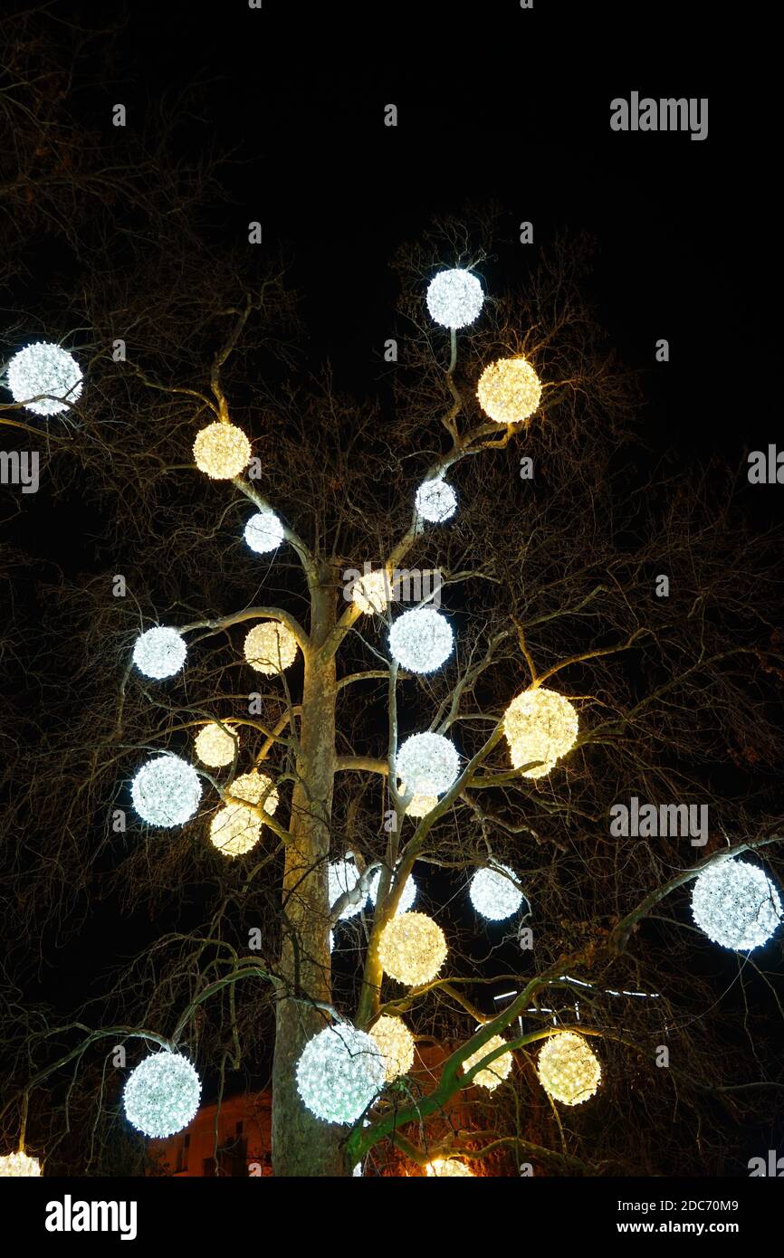 Neon, glühende Kugeln auf einem Baum Stockfoto