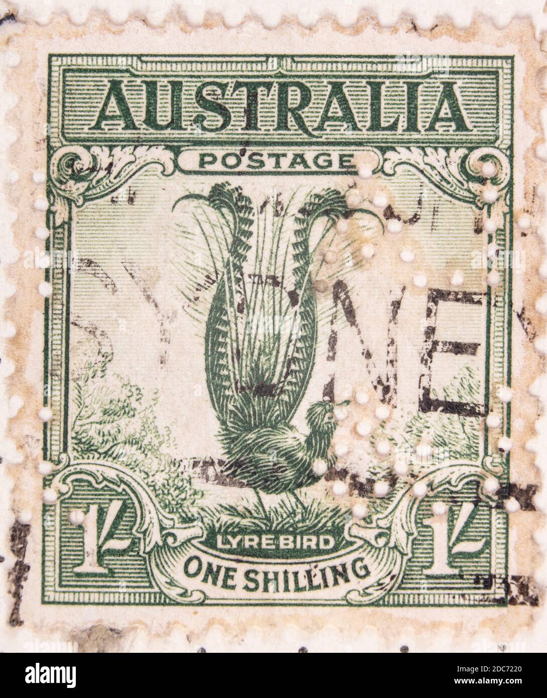 Antwerpen, Belgien - 17. November 2020: Ein Briefmarkendruck der Australian Post, präsentiert einen Lyrebird Stockfoto