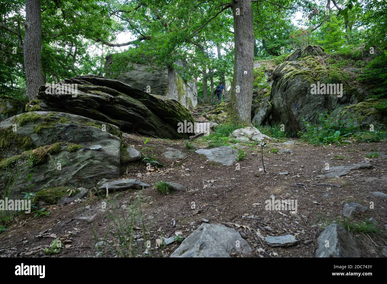 Wandern im taunus im rhein-Main-Gebiet bei frankfurt Am Main zwischen Felsen in wurnderbare Natur Stockfoto