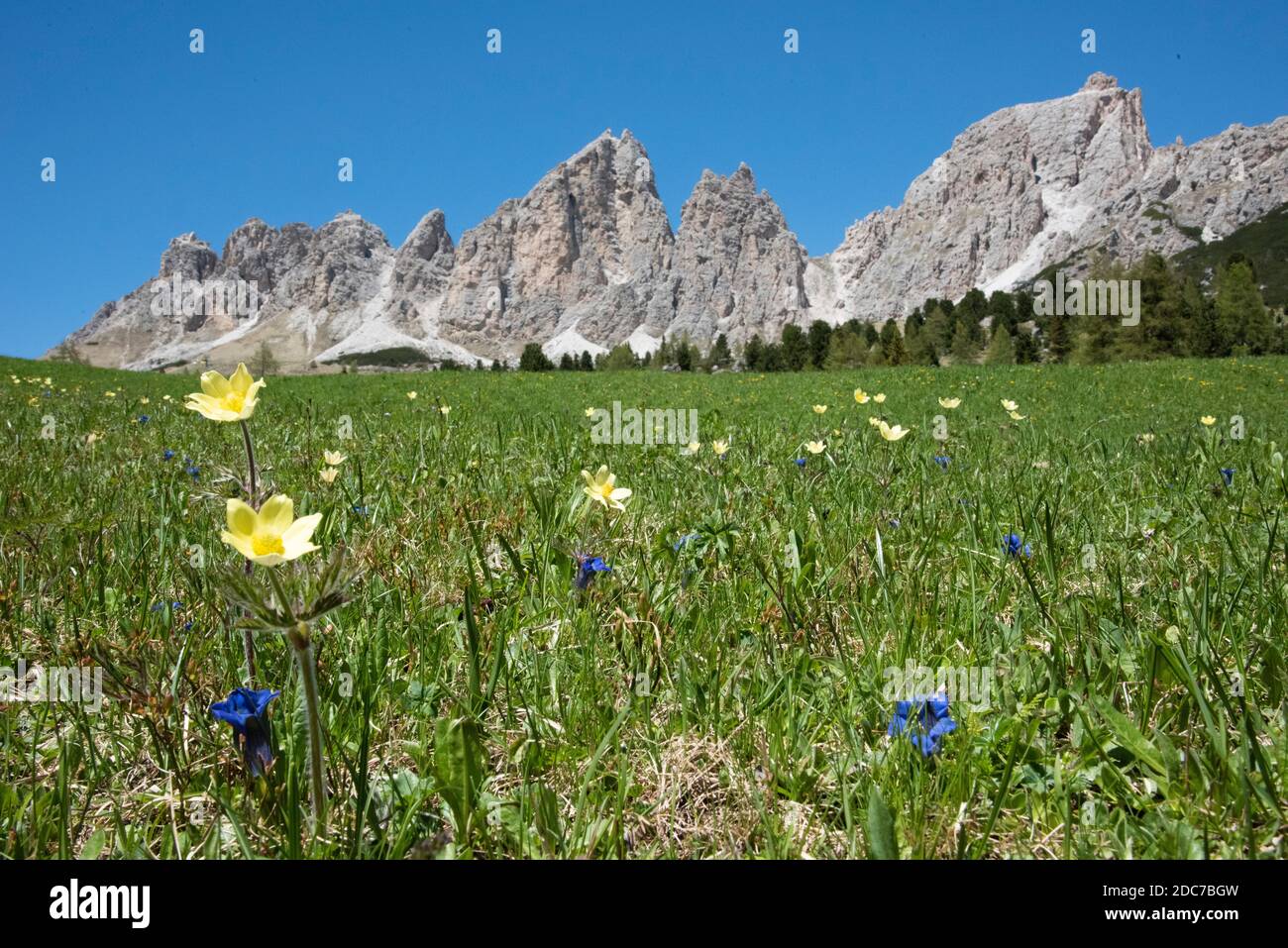 Cime Cir, Cir Spitzen Stockfoto