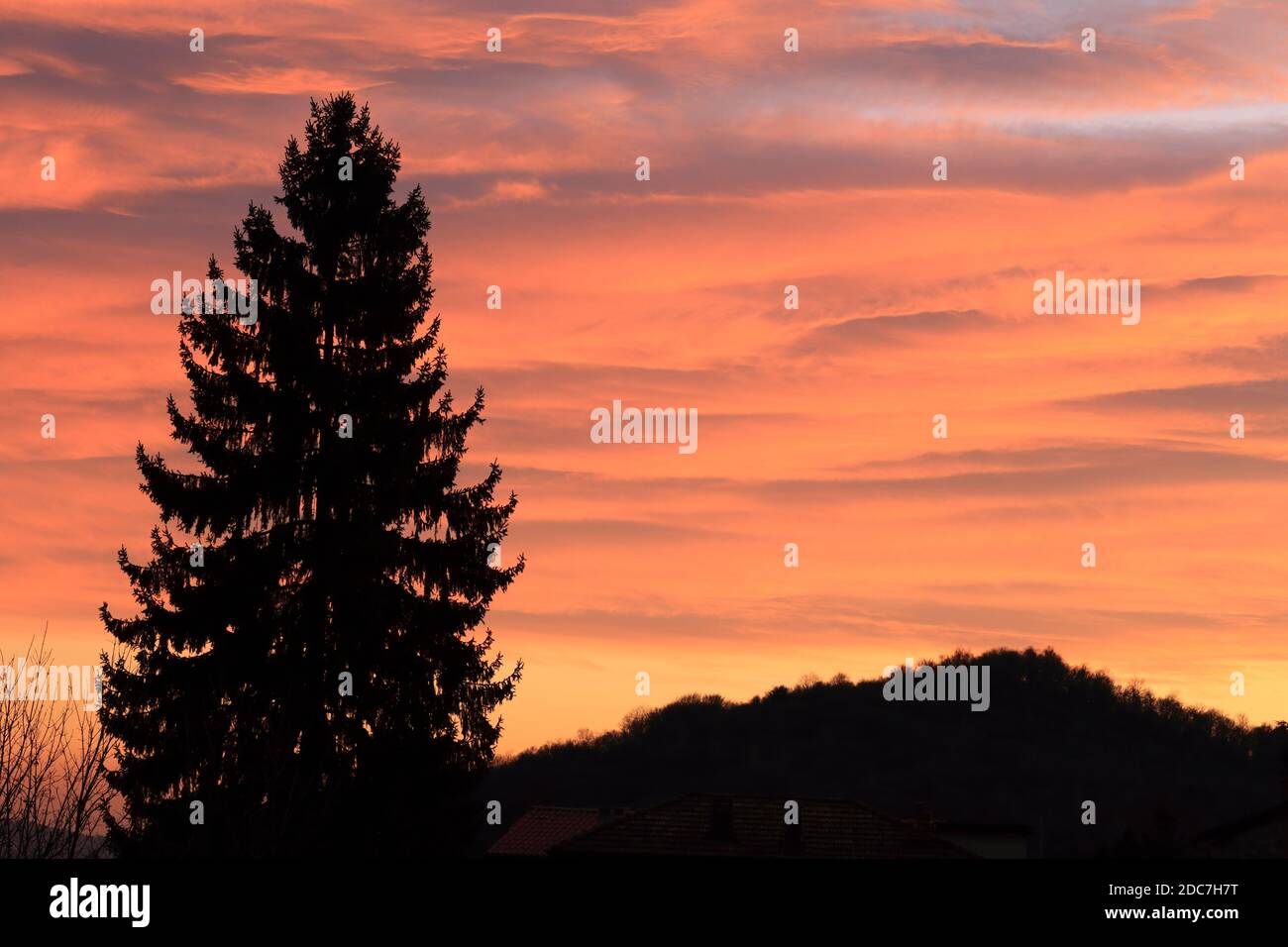 Schöner Sonnenuntergang in der Landschaft mit schönen Farben und Kiefern Im Vordergrund Stockfoto