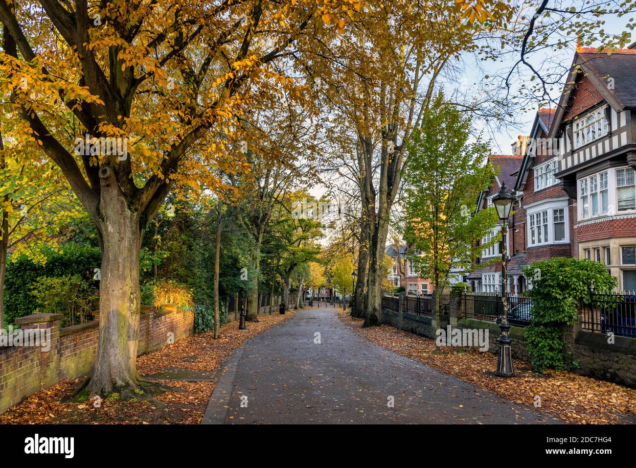 Herbstfarben in New Walk, einem baumgesäumten Fußmarsch aus dem Jahr 1785, in Leicester, England. Stockfoto