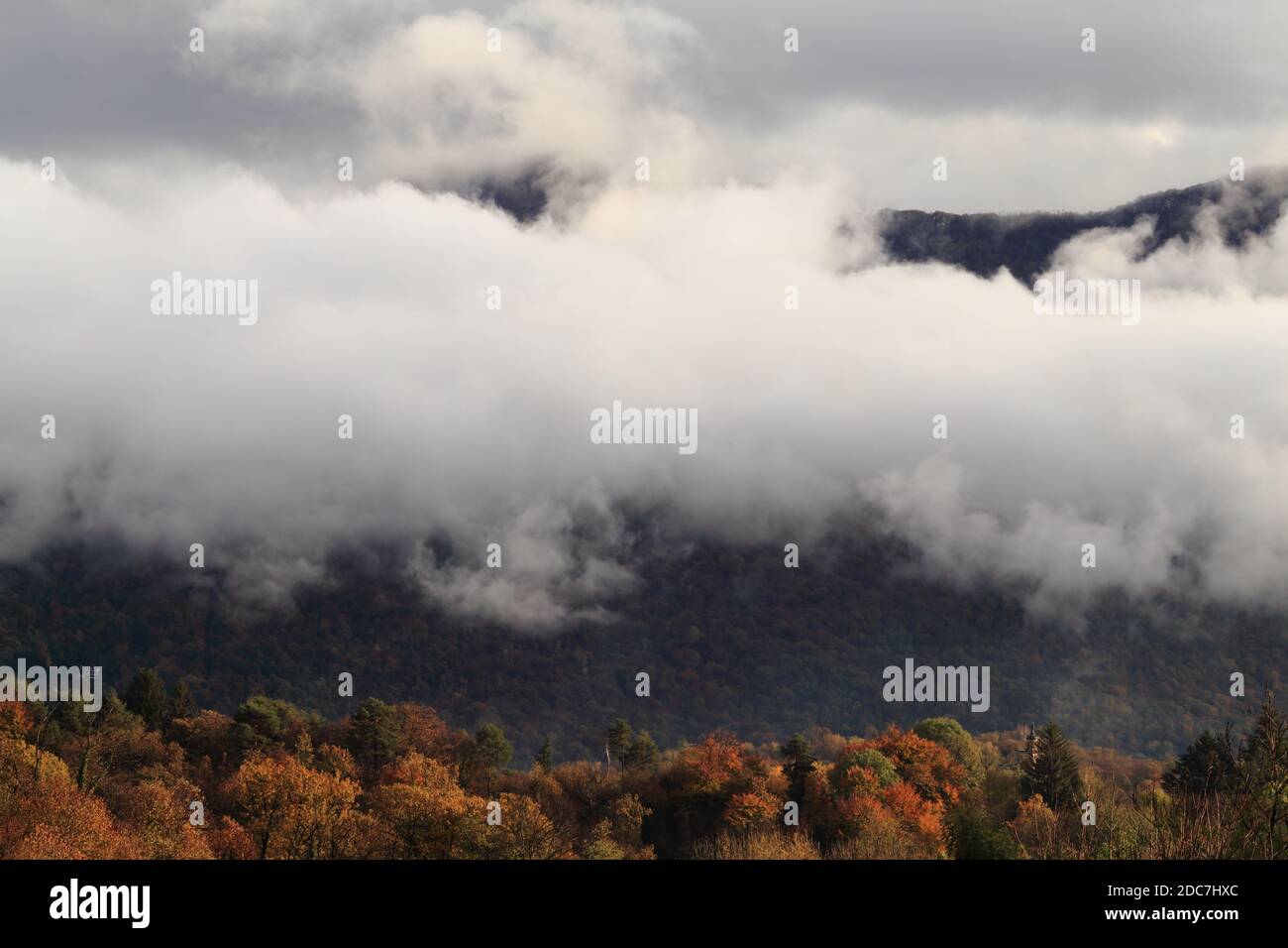 Weiße Wolken mit Herbsthintergrund auf dem Land. Stockfoto