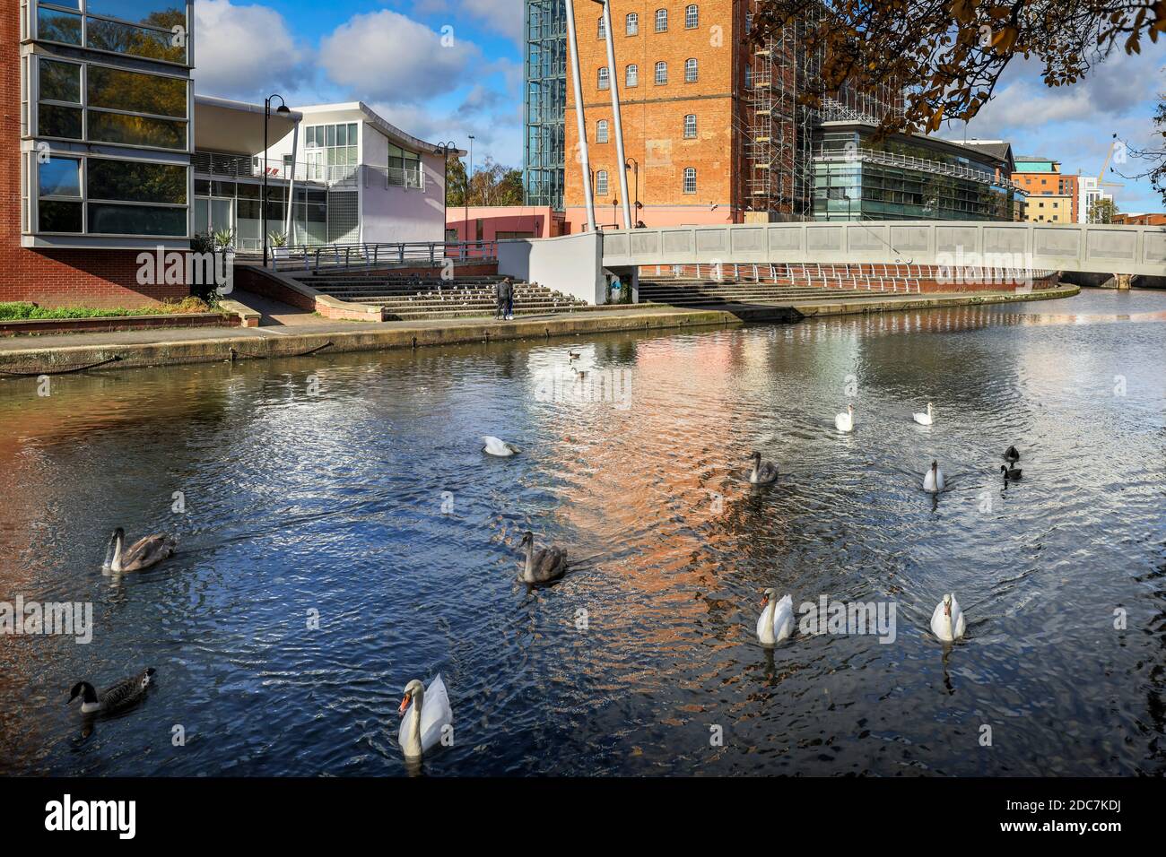 Schwäne auf dem Fluss schweben in Leicester, mit der Castle Gardens Fußgängerbrücke und dem HM-Grundbuchgebäude im Hintergrund Stockfoto
