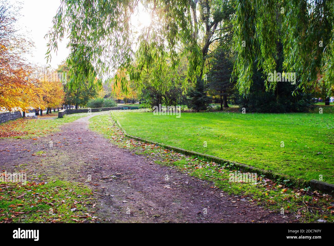 Schöner Herbstwald im Nationalpark. Foto Stockfoto