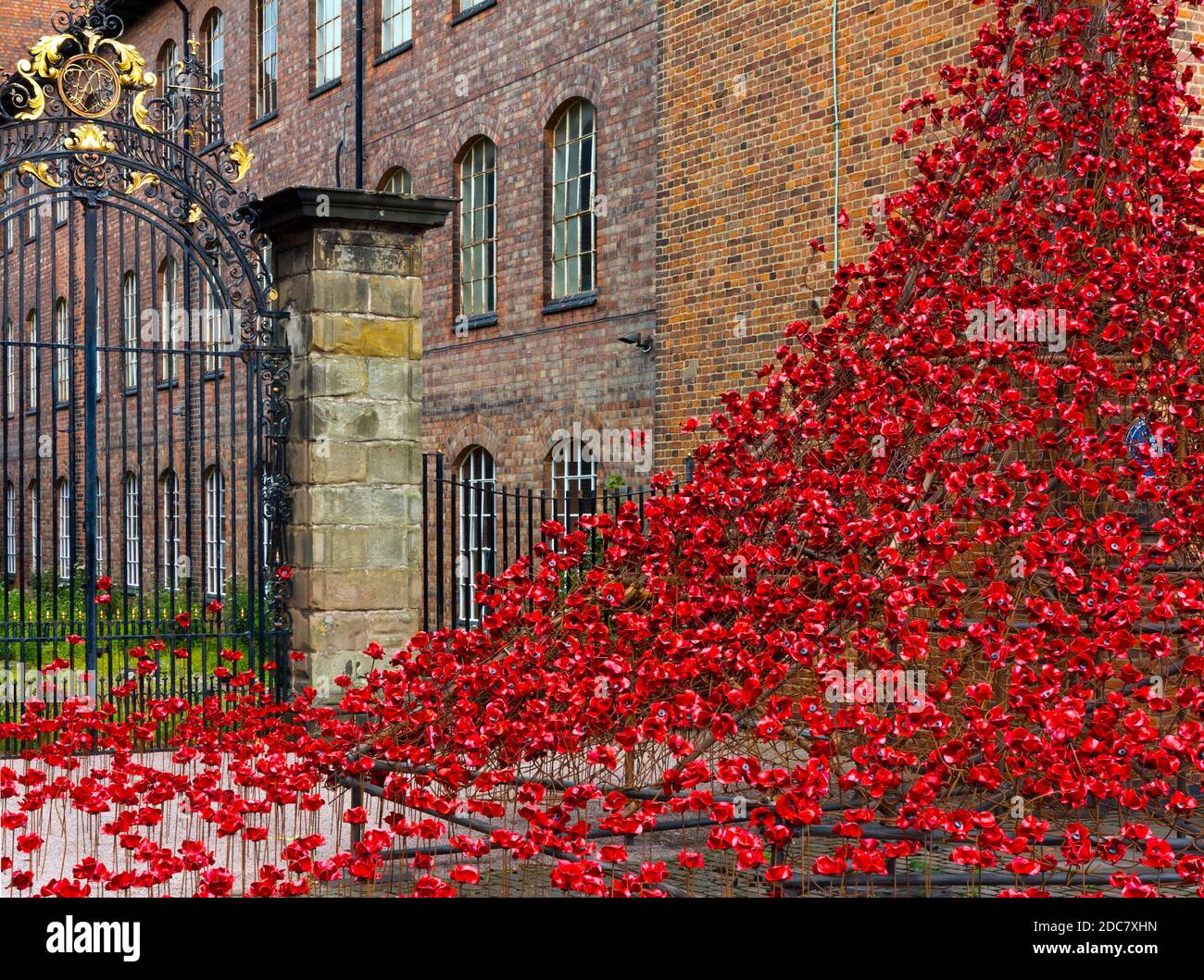 Weeping Willow von der Installation Blood Sweepte Lands and Seas of Red von Paul Cummins im Juli 2017 in der Derby Silk Mill zu sehen. Stockfoto