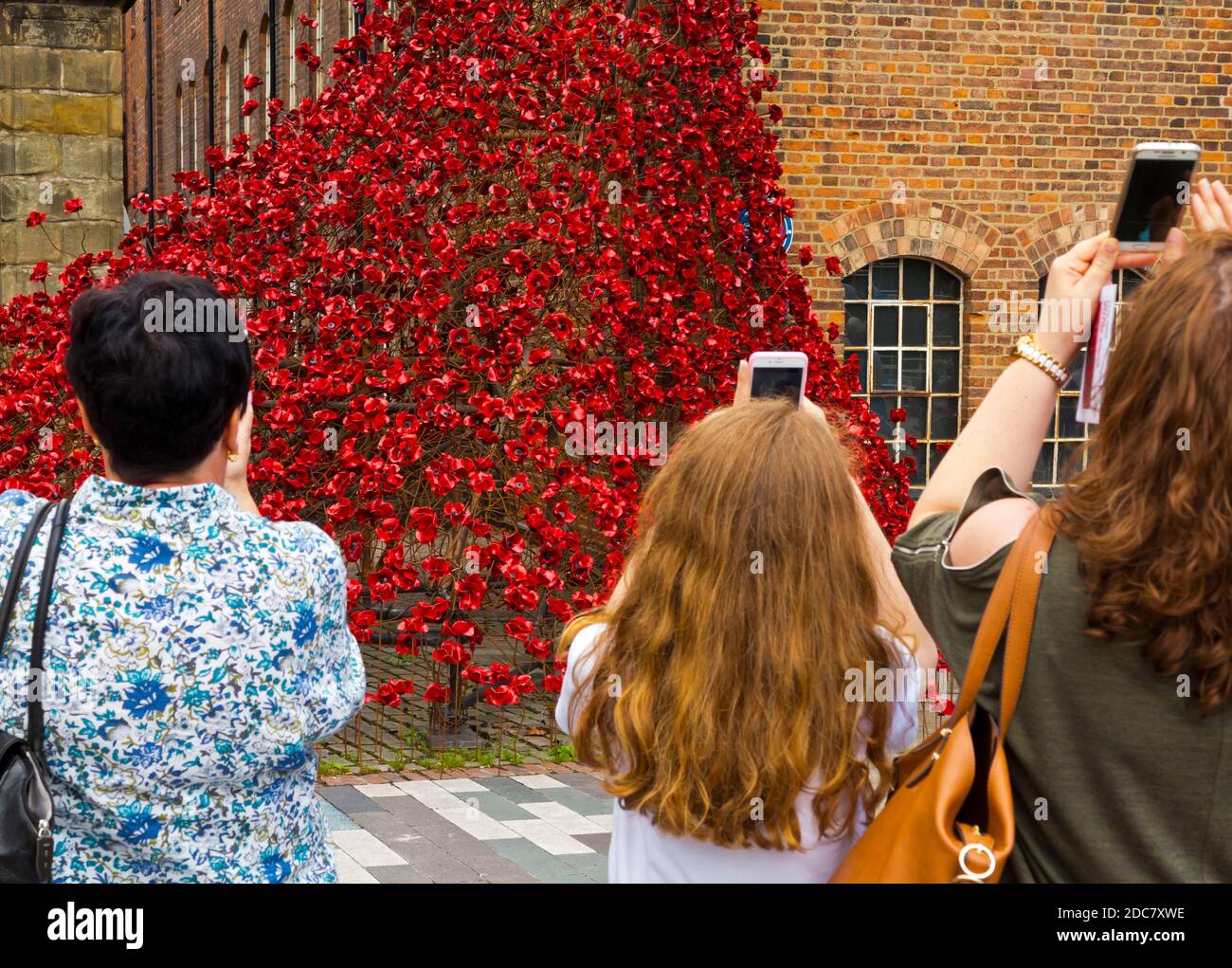 Menschen fotografieren Weeping Willow aus der Installation Blood Sweepen Lands and Seas of Red von Paul Cummins in Derby Silk Mill im Juli 2017. Stockfoto