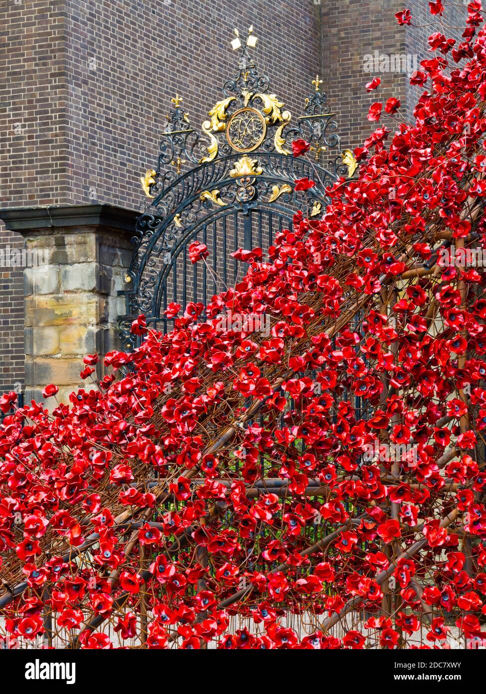 Weeping Willow von der Installation Blood Sweepte Lands and Seas of Red von Paul Cummins im Juli 2017 in der Derby Silk Mill zu sehen. Stockfoto