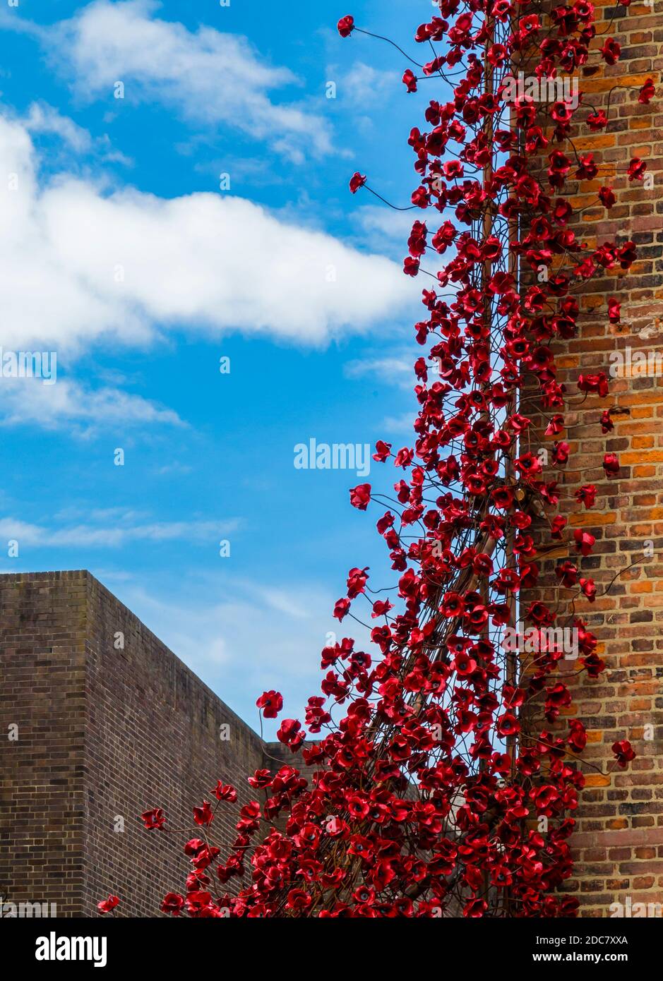 Weeping Willow von der Installation Blood Sweepte Lands and Seas of Red von Paul Cummins im Juli 2017 in der Derby Silk Mill zu sehen. Stockfoto