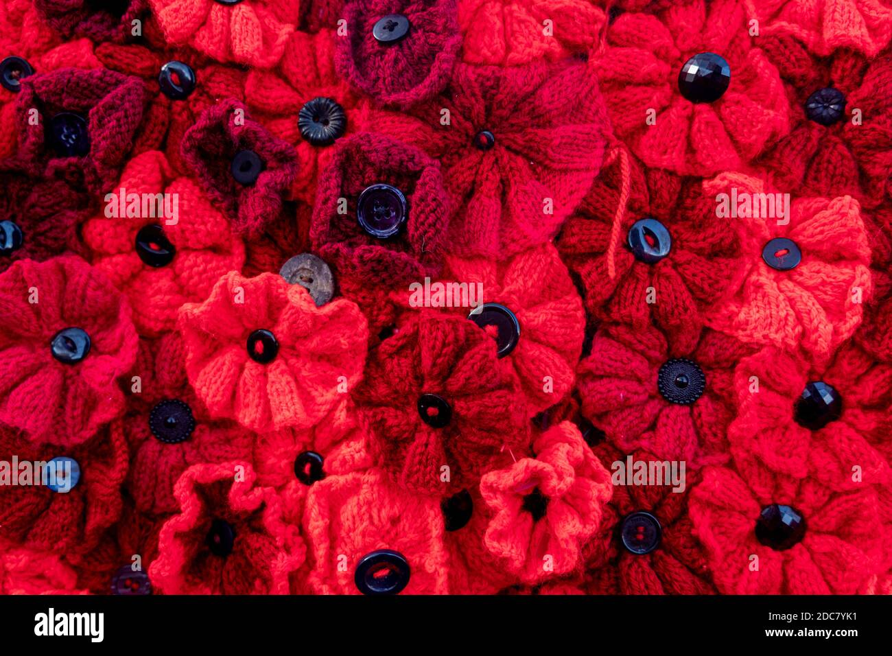 Gestrickte und gehäkelte Mohnblumen für den Gedenktag Stockfoto