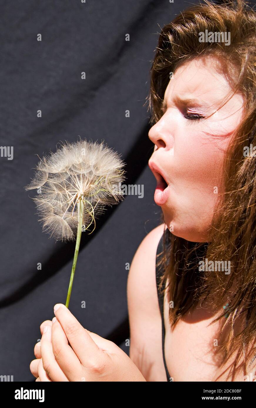 Eine junge Frau, ein Teenager, bläst im Spätsommer die Samen aus einer Löwenzahn-Blume. Stockfoto